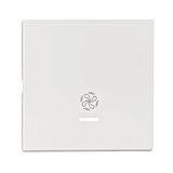 Rocker S 55 with tranparent control window, symbol fan,white