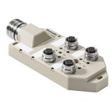 with M23 outlet, 19-pole, M12, 30 V, A-coded, LED: Yes, LED initiator: Yes, Wiring type: