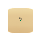 Rocker, 1gang, with “Dimmer” icon