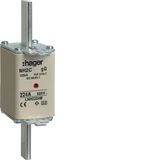 NH fuse NH2C gG 500V 224A central indic.