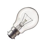 Incandescent Bulb A55 110V 100W B22 clear Bellight