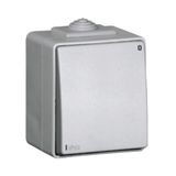 TWO-POLE SWITCH GREY