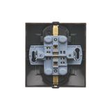 Single contact push button without pictogram, (module), 16AX, Screw, Bronze matt, metalic