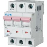 PL6-D2/3 Miniature circuit breaker (MCB), 2 A, 3p, characteristic: D