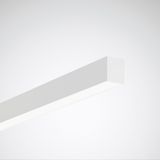 Surface-mounted luminaire Finea D Diffuser White rectangular ET 32W 3454lm Lambertian (L) IK03 3 SDCM