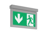 TENUO, 7,1 W, silver, on/off Ceiling luminaires, L 350 B 56 H 240, SBS