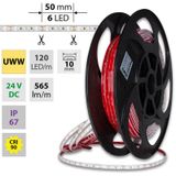 LED strip SMD2835 UWW, 120LED/m, 9,6W/m, DC 24V, 600lm/m, CRI90, IP67, 10mm, 50m