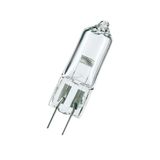 FLW GY6.35 24V 300W 3500K