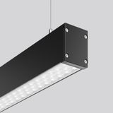 LINEDO single IP54, 31 W, 4850 lm, 840, black, DALI Pendant luminaires