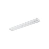 Sylmaster LED T8 1500 2L 5400LM 840