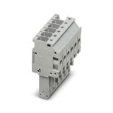 UP 4/ 6 - Plug