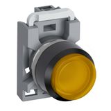 PD9-1197 button