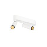 GRIP! S surface mount. ceiling dbl PHASE 3000K 21W 29ø wh/bl