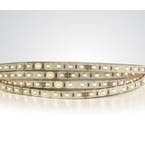 LED STRIP 24V DC EW 5m ROLL 14,4W/m IP68