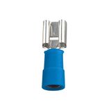 Receptacle terminal MSE_6,3-2SN/100