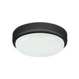 HORT LED 15W IP54 4000K 7407