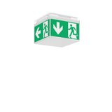 SIGNCUBE mini, 4 W, white, on/off Ceiling luminaires, L 199 B 199 H 14