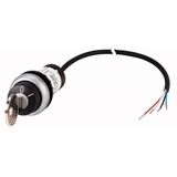 C22-WS-MS1-K11-P65 Key-operated actuator, RMQ compact solution, momentary, 1 NC, 1 N/O, Cable (black) with non-terminated end, 4 pole, 3.5 m, 2 positions, MS1, Bezel: ti