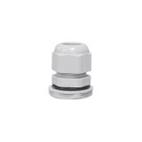 Pg-21 Stuffing box