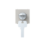 Key push-button 2 positions - 2M - Dune