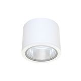 DLN 230 BARI LED 2220/840 IP44