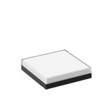 Replacement glass, moulded glass L 300 B 300 H 67 colour: white
