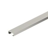 CL2008UP2000A2 CL2008 profile rail, slot 11 mm, A2, unperforated