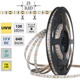 LED strip SMD2835 UWW, 120LED/m, 9,6W/m, DC 12V, 640lm/m, CRI90, IP20, 8mm, 50m