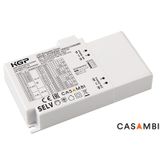 PC42W300-1050CG_CASAMBI