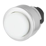 Projecting push-button, illuminated, flush-mount, momentary, clear