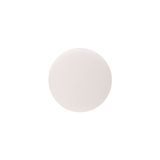 NUMINOS® L Diffusor Frosted