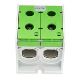 Aluminium /Copper terminal, 1-pole Double green, 300mmý