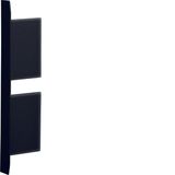 Endcap BKIS 25, 2-c, steel, black