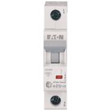 HN-B16/1-HX Eaton Moeller series xPole Home - HN/HN-HX MCB