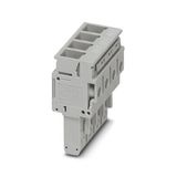UP 6/ 4 - Plug