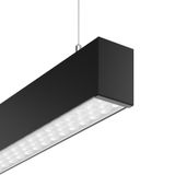 LINEDO single IP20, 40 W, 6100 lm, 830, black, DALI Pendant luminaires