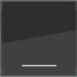 Rocker single, large text field, clear lens, A.x/C.x, night black matte