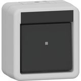 rocker switch 310730 cross WG AP gr