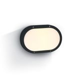 BLACK IP54 2xE27 2X10W