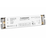 Electronic Ballast PL 1*42W