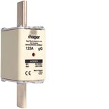 NH fuse NH1 gG 690V 125A with twin indicator and live gripping lug