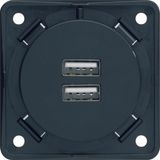 USB charging socket 230V/3.0A, screw-in lift terminal, Integro, anthra