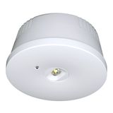 Self-contained luminaire K6 Autotest ERT-LED 3h 230V AC