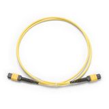 Fluke 1 m SM TRC, MPOAPC/MPOAPC, Pinned/Pinned, Type A polarity