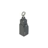 Stable position switch for rope actuation