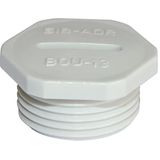 Plug Hexagonal Polycarbonate PG9 Grey RAL 7035