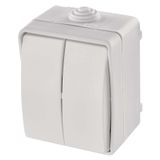 Wall-mounted switch IP54, 2 buttons