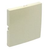 BLIND COVER PLATE PEARL