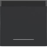 Rocker single, text field, clear lens, A.x/C.x, night black matte