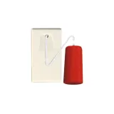 10A single pole cord switch pull to make